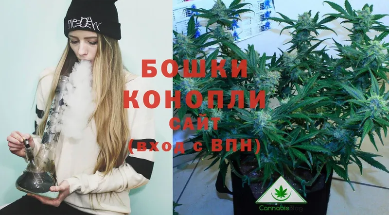 мега зеркало  закладки  Адыгейск  Шишки марихуана THC 21% 